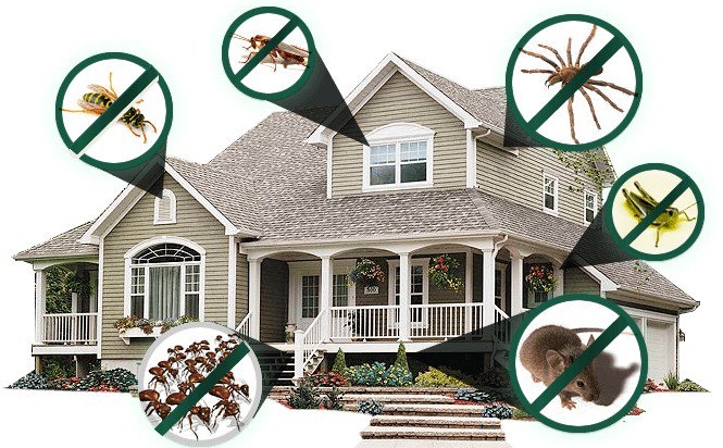 Las-Vegas-Pest-Control-Tips Las-Vegas-Pest-Control-Tips